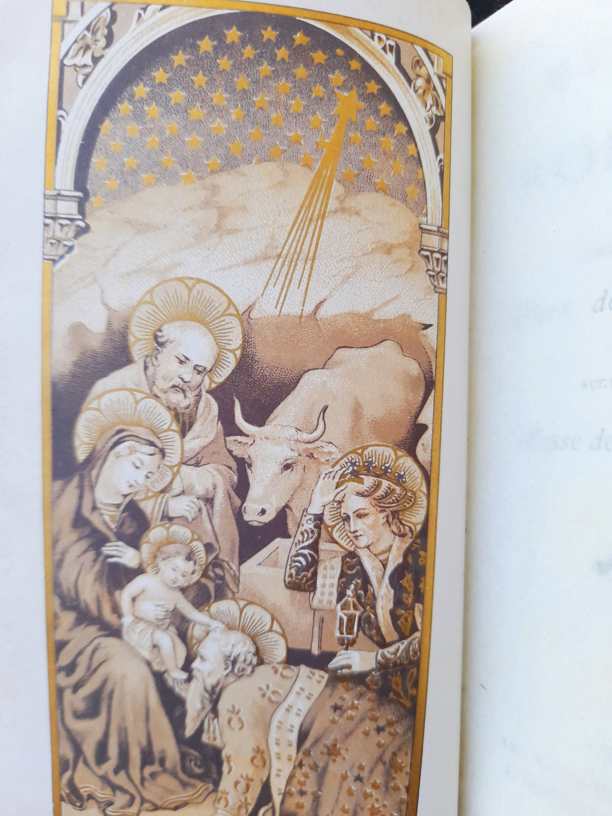 达尔佩拉与德佩莱的法国古董祷告书,皮革装订,1895年