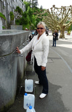 Load image into Gallery viewer, Lourdes Water Collected Fresh From the Grotto at Lourdes In Lourdes Containers From €38