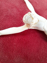 Load image into Gallery viewer, Dieppe Work Crucifix, Travail Dieppoise, Very Fine Bone Carved Corpus Christi 13 x 8 cm Mounted on velvet with Gilded Frame Circa 1830