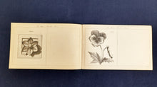 Load image into Gallery viewer, French promotional chromolithograph postcard titled "Mes Débuts artistiques" 6 Booklets in Excellent Condition, Very Rare