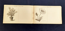 Load image into Gallery viewer, French promotional chromolithograph postcard titled "Mes Débuts artistiques" 6 Booklets in Excellent Condition, Very Rare