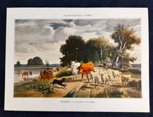 Laden Sie das Bild in den Galerie-Viewer, Au Bon Marche Publicity Cards - Complete Set of 6 Chromolithographs - 19th Century Artists - Circa 1909